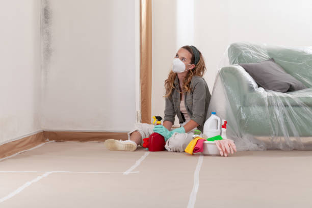 Reliable Black Mold Removal contractor in Mifflin, PA by WQB Mold Removal